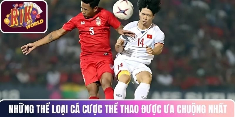 Những thể loại cá cược thể thao được ưa chuộng nhất